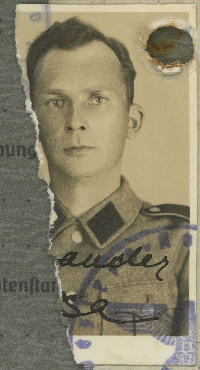 AMS w Sztutowie/I-IE-1152 01/Alexander Sisa